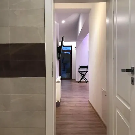 Apartment Thomas Loft Brasov